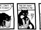 journal-cats logic