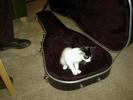 in guitar case