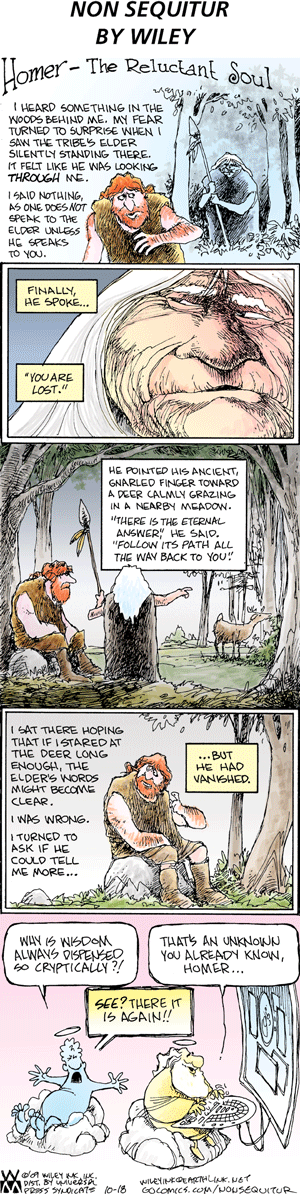 Non Sequitur