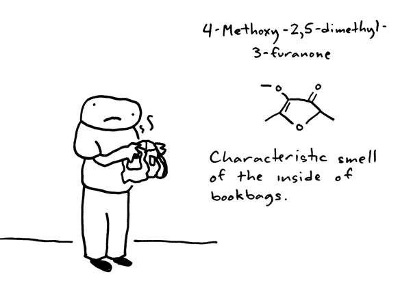 toothpaste for dinner