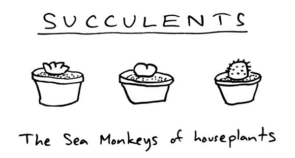 toothpaste for dinner